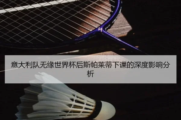 意大利队无缘世界杯后斯帕莱蒂下课的深度影响分析
